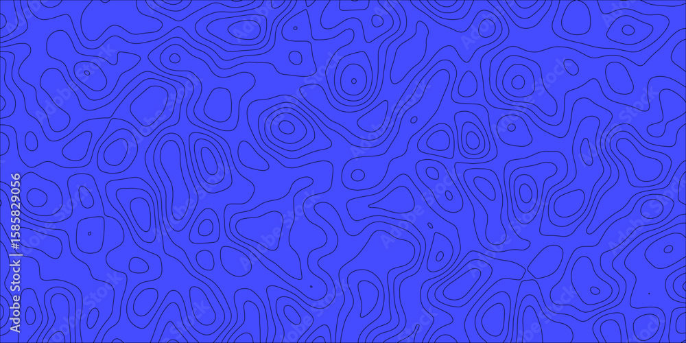 Fototapeta premium The Silent Geometry of Organic and Winding Paths