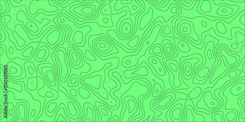 The Silent Geometry of Organic and Winding Paths

