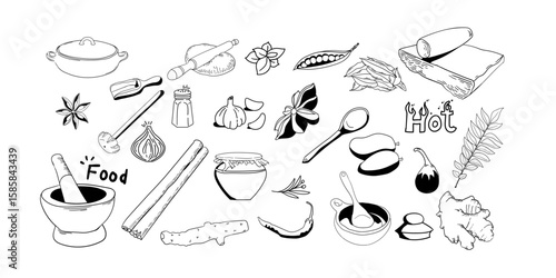 Indian Spices Elements collection,Design background spices design collection set,Traditional Indian food methods cooking design set, Hand drawn design set,