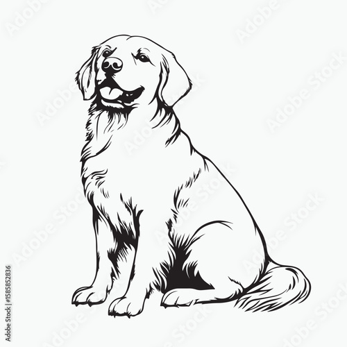 labrador retriever puppy