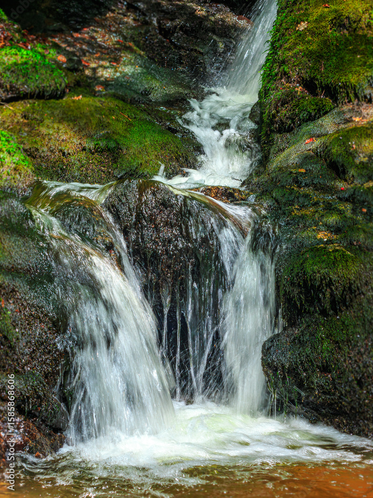 Fototapeta premium Small stream, waterfall and undergrowth of the Tarn in the Commune of Lamontélarié in the south of France 