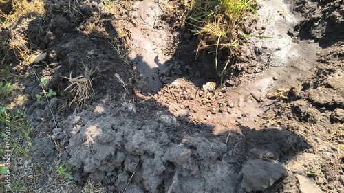 Wallpaper Mural dry earth. Cracked black earth. Dry summer. Insufficient soil moisture. Lack of moisture in the soil. Dry cracked land ground, rotating, turning, top view Torontodigital.ca