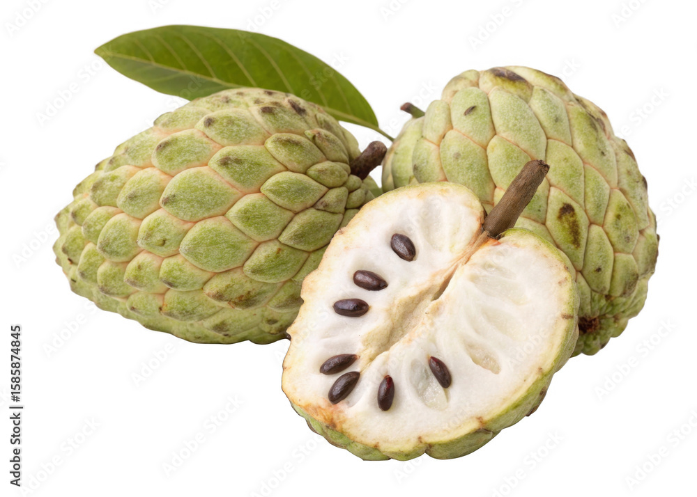 Fototapeta premium custard apple isolated on a transparent background. 