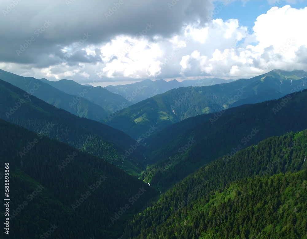 Obraz premium Lush mountain valley