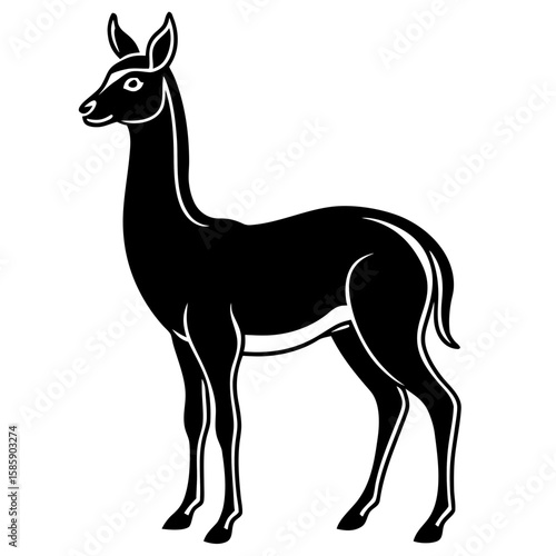 Vicuna vector silhouette black design white background