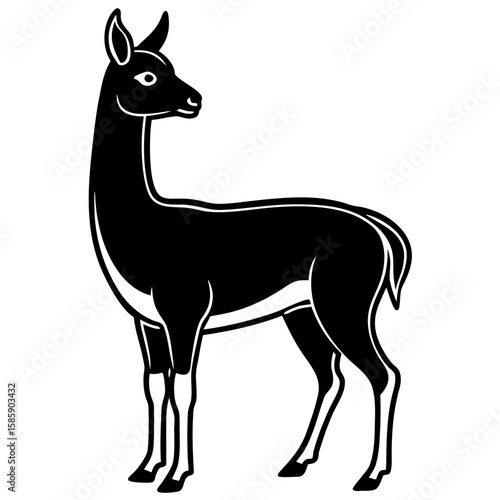 Vicuna vector silhouette black design white background