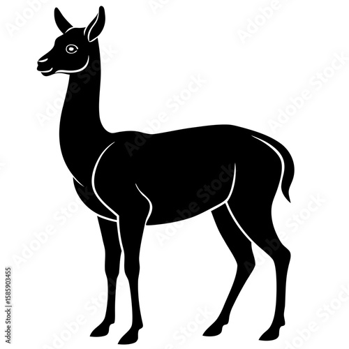 Vicuna vector silhouette black design white background