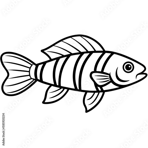 Modern Zebrafish Contour Vector Design
