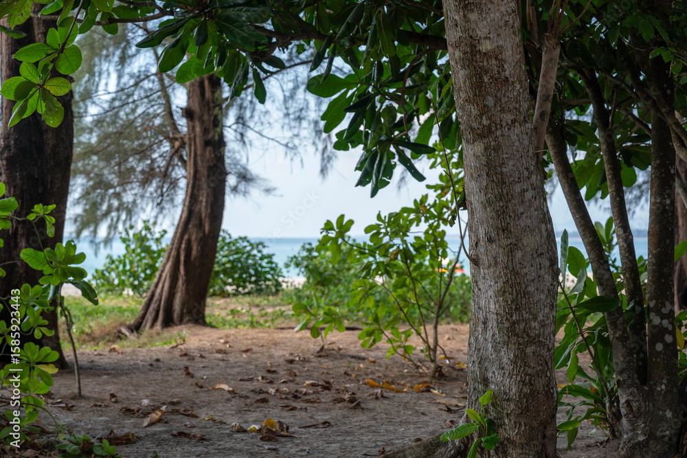 Fototapeta premium Sirinat National Park in Phuket Province, Thailand. This park with sections on land and sea is in the northwest of island of Phuket