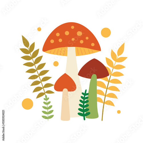 mushrooms in autumn forest