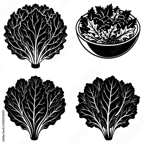 Black and white illustration of leafy green vegetables and a bowl of salad with dressing design