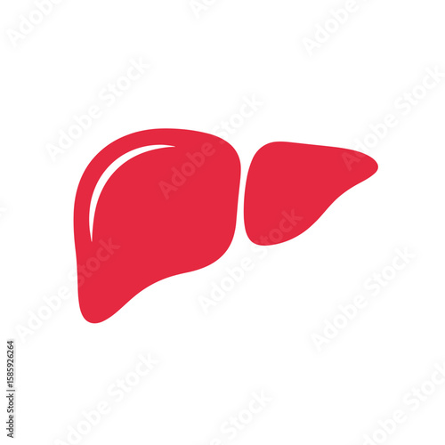Understanding liver health benefits and dietary approaches for optimal organ function
