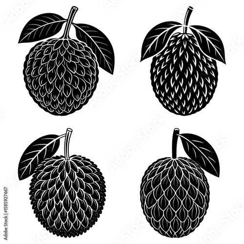 Four monochrome custard apples with leaves in a patterned arrangement on a white background design