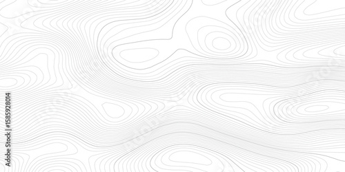 Topographic map and landscape terrain texture grid. White wave paper curved reliefs abstract background, Abstract topographic contours map background, Topography map background