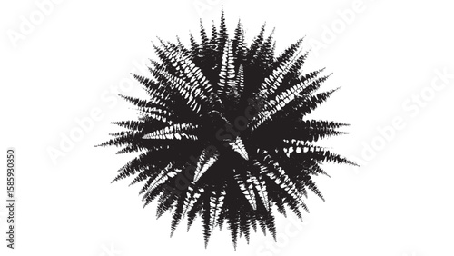 Creative Floral Design in Black and White Vector Art