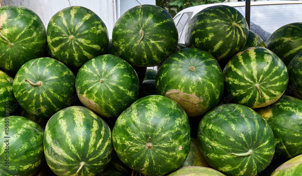 Shiny green watermelons are neatly arranged in piles at a vibrant market Shiny green watermelons are neatly arranged in piles at a vibrant market