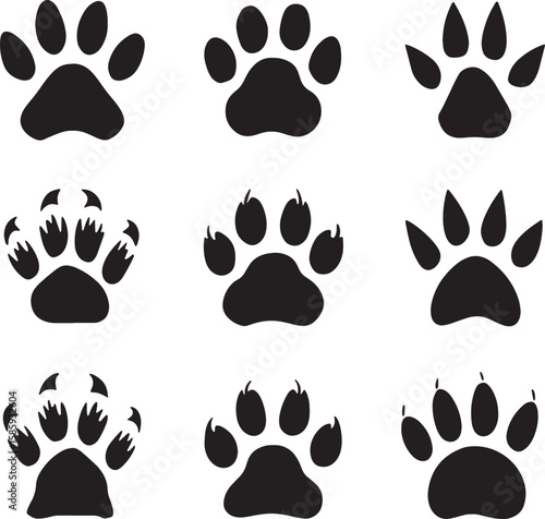 Animal Paw Prints Vector Set Diverse Footprints Illustration for Wildlife Tracking and Pet Designs on Transparent Background