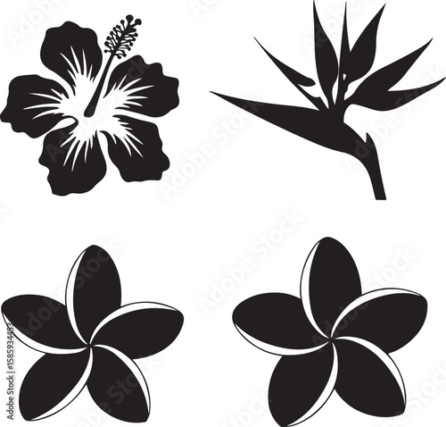 Exotic floral silhouettes black vector hibiscus bird of paradise
