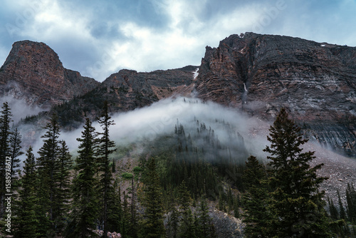 Misty mountain trees