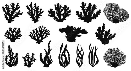 Coral silhouettes collection: black sea plant illustrations for marine design