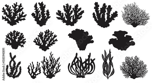 Silhouette coral set: marine life collection for design