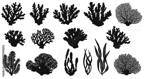 Silhouette coral and seaweed collection: diverse marine life designs