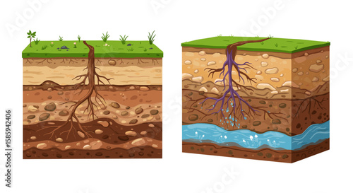 Cross-section of soil layers with plant roots and underground water flow