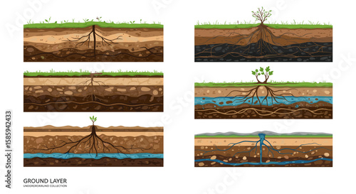 Cross section of ground layers illustrating root systems and soil composition