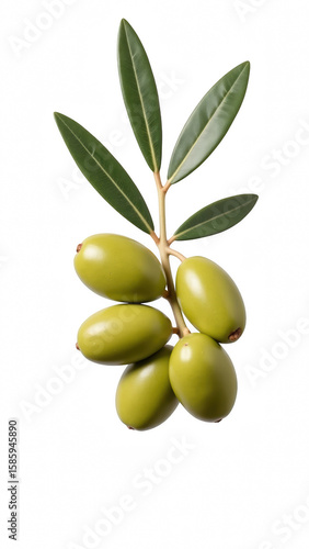 Wallpaper Mural Fresh green olives on branch with leaves, showcasing their natural beauty and vibrant color. Perfect for culinary uses and healthy snacking Torontodigital.ca