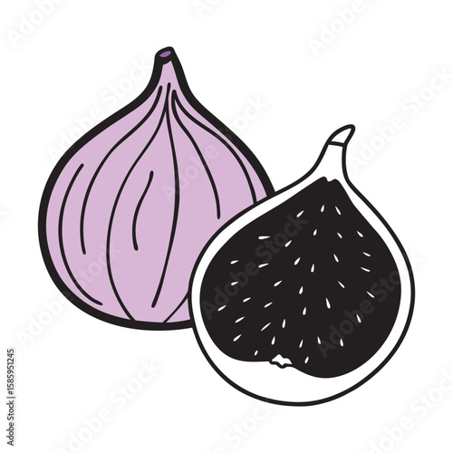 Hand drawn illustration of two ripe figs one whole and one sliced open
