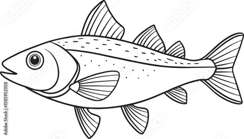 Haddock fish line drawing in minimal outline design for ocean education or marine coloring
