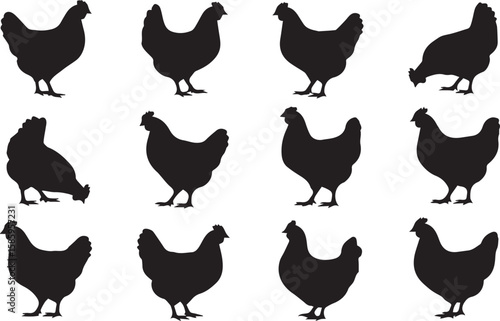 A Bundle of Black Color Hens Silhouette Vector Design 