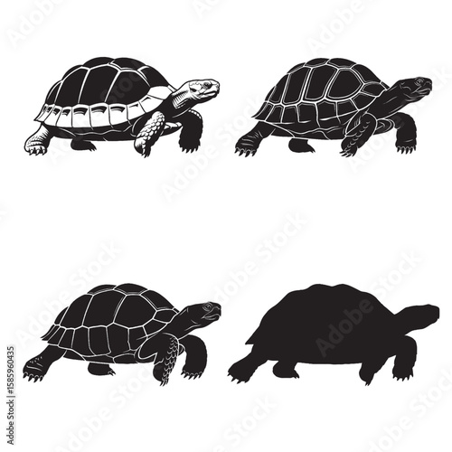 turtle silhouette