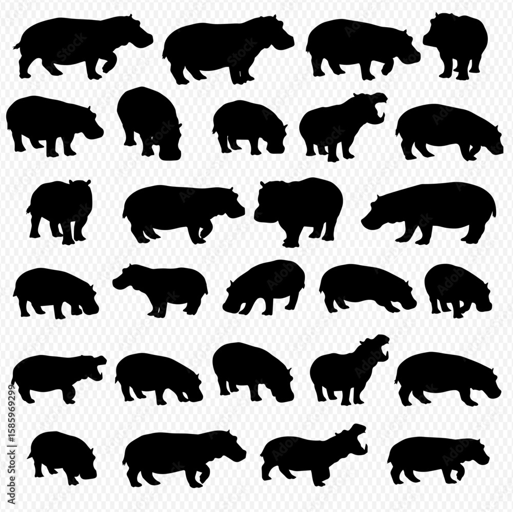 Fototapeta premium Collection of twenty-five hippopotamus silhouettes in various poses.