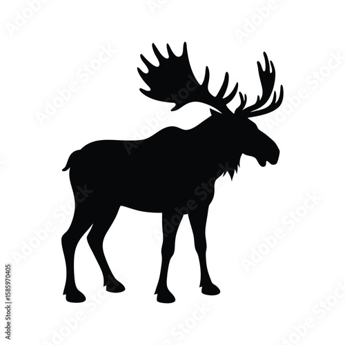 Silhouette of moose with large antlers standing on white background  