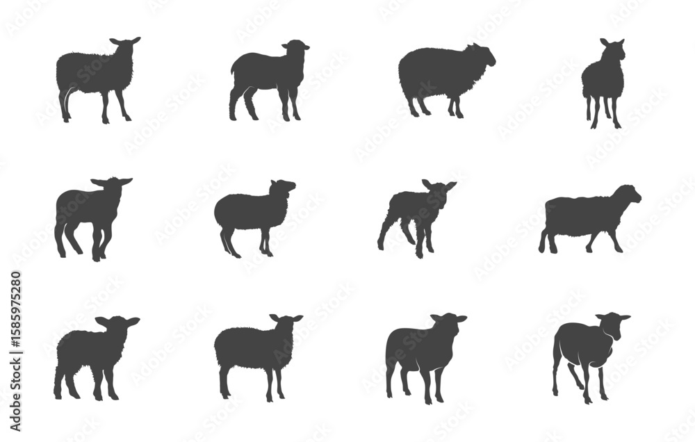 Fototapeta premium Sheep silhouette, Sheep svg, Sheep vector, Sheep clipart, Lamb svg, Lamb silhouette, Lamb vector, Sheep drawing.