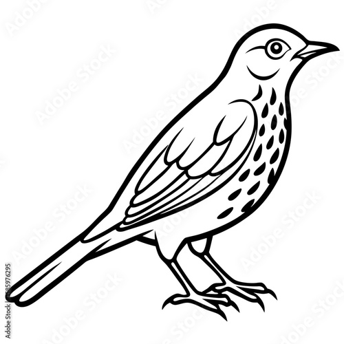 Song Thrush Outline Vector