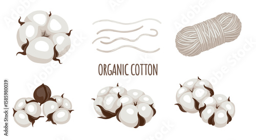 Illustration showing several cotton bolls, cotton threads, and a roll of cotton string bundle product