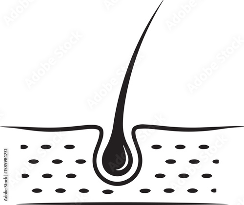 Stylized black and white illustration of a hair follicle and skin cross section