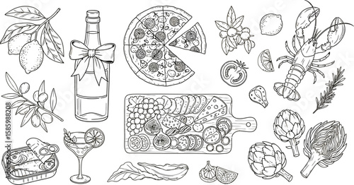 Elegant charcuterie and gourmet food sketch illustration with tasty lobster