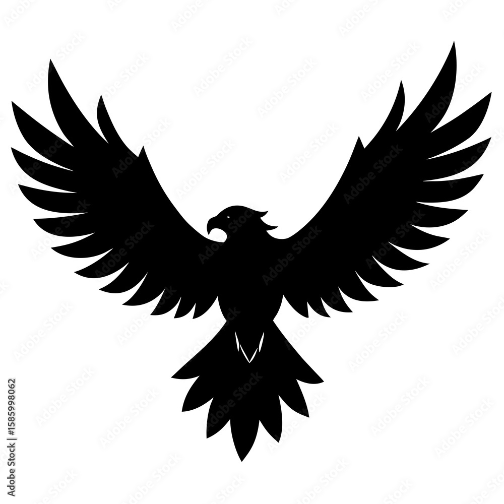 Obraz premium Black eagle soaring spread wings bird flying