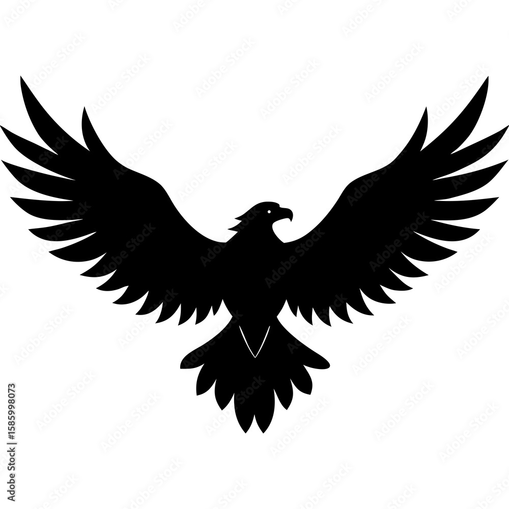 Obraz premium Black eagle spread wings silhouette bird flying