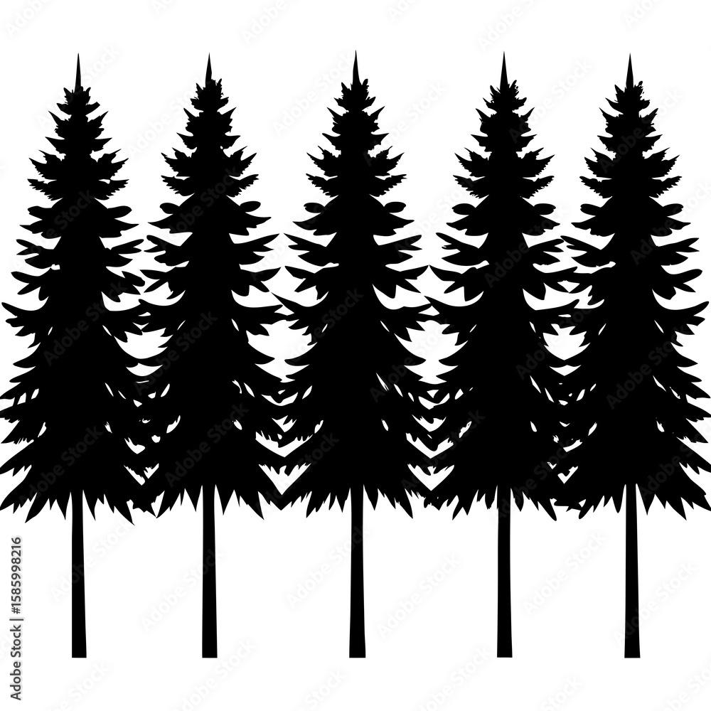 Obraz premium Black pine trees row white background silhouette forest