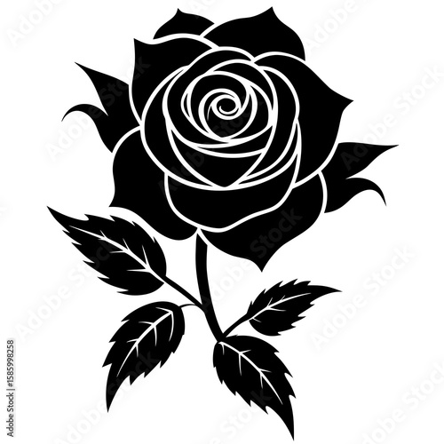 Black rose bloom with leaves and thorns flower petals