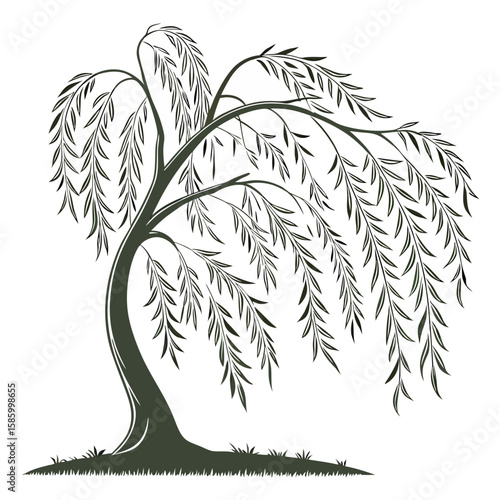 Elegant stylized depiction of a weeping willow tree with flowing branches and intricate leaf patterns illustrating serenity and natural grace