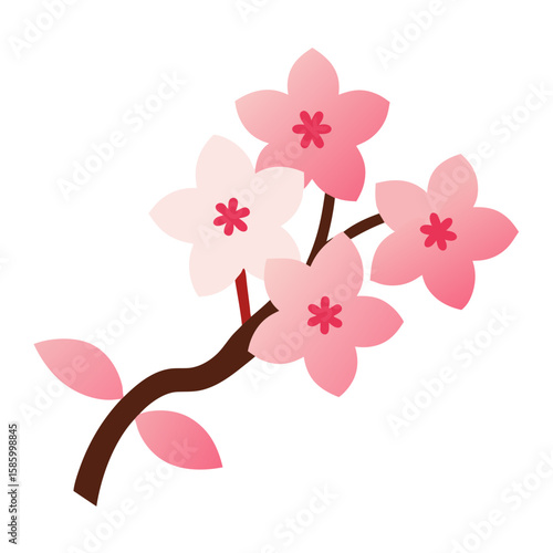 pink orchid flower