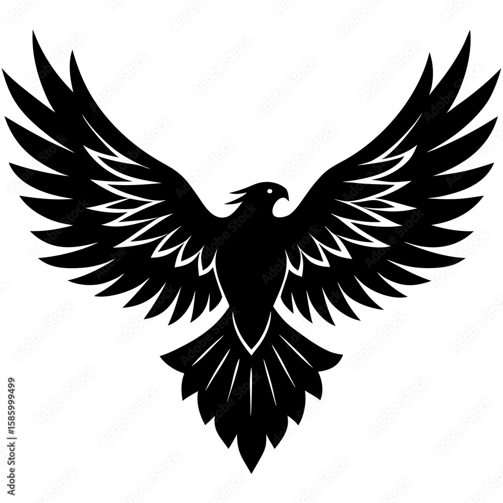 Obraz premium Majestic eagle flying sharp wing silhouette bird wings spread