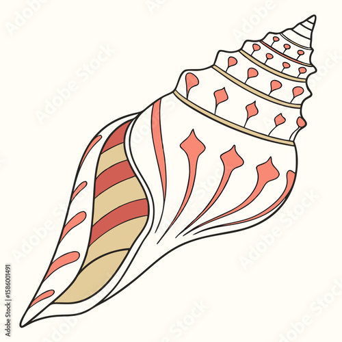Detailed illustration of a marine conch shell with intricate patterns and soft pastel colors emphasizing natural beauty and shell morphology in a