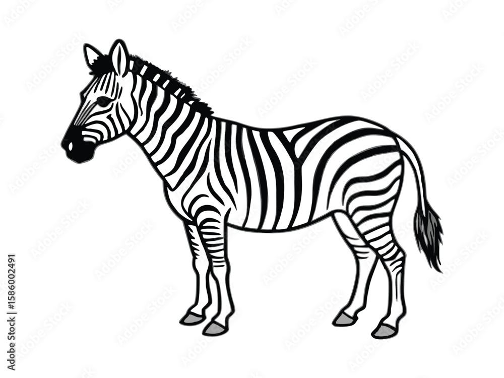 Stylized black and white illustration of a zebra standing calmly isolated on white background
Stylized black and white illustration of a zebra standing calmly isolated on white background