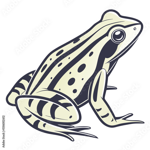 Stylized illustration of a frog with distinctive black spots and smooth contours emphasizing simplicity and natural elegance for visual design